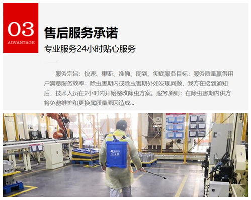 雁塔区家庭灭鼠，为何陕西绿色卫士环保能赢得口碑？