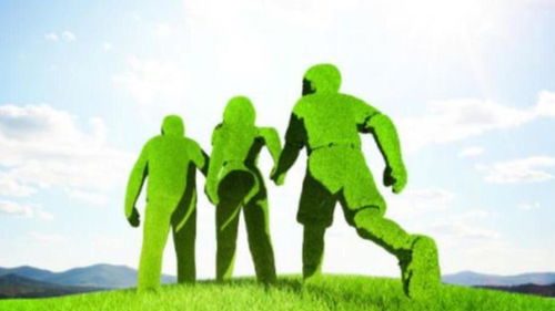 北清环能3.6亿收购餐厨垃圾处理资产 溢价40倍背后的环保战略与风险