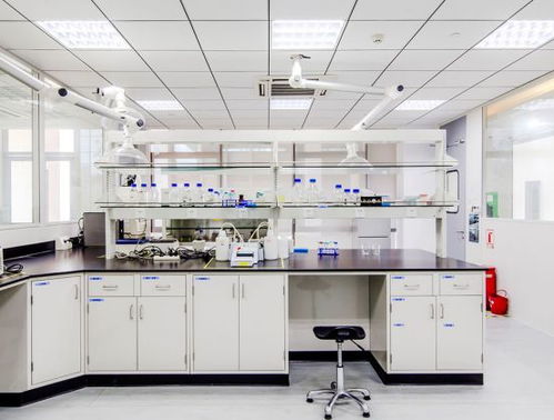 引领绿色未来 以开拓创新与专业服务，铸就质量至上的环保咨询新标杆